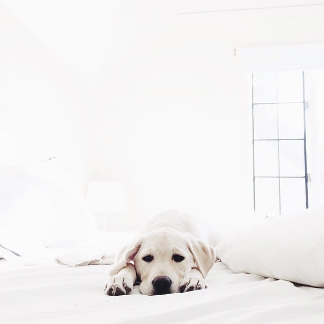 Little_bear__not_so_little_anymore.___