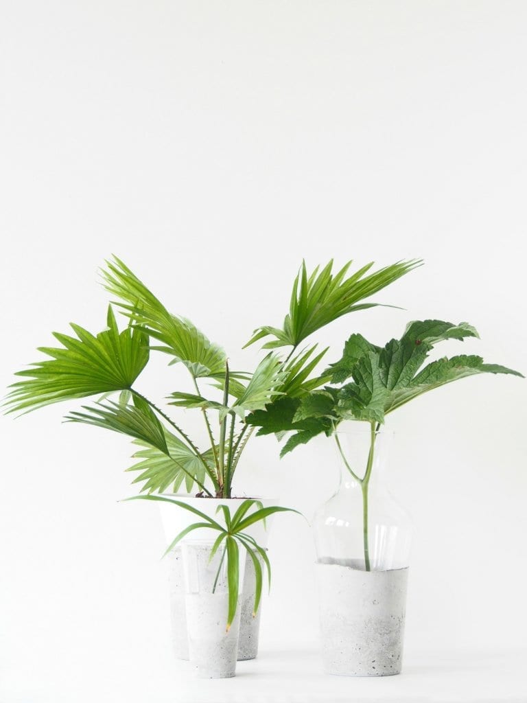 diy-concrete-glass-vases