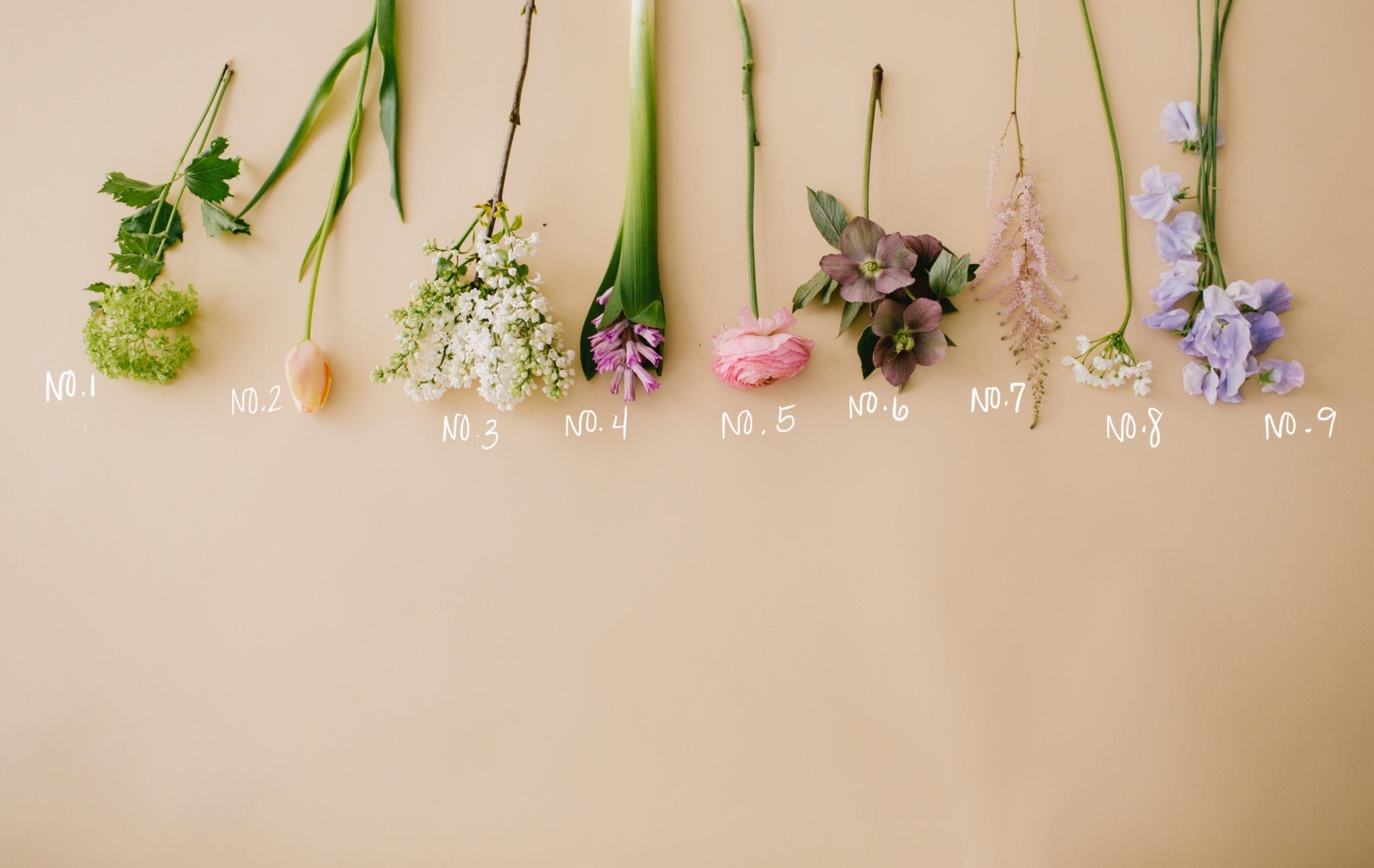 How to Create Your Own Floral Arrangement That Feels Like SPRING | Wit & Delight