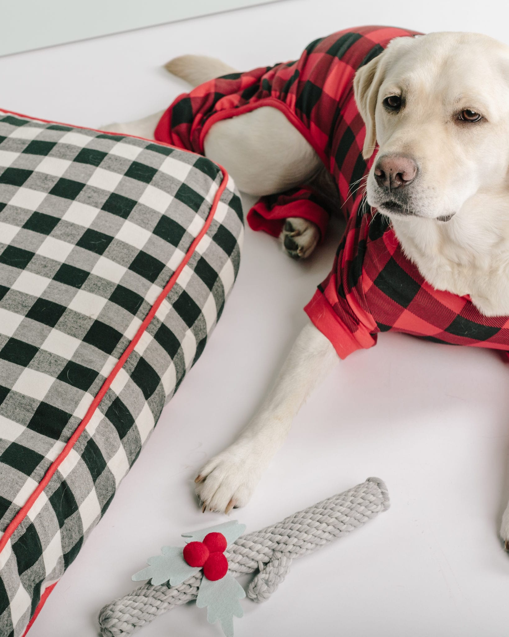 W&D Launches Limited-Time Travel and Pet Collection with Target! – Wit & Delight