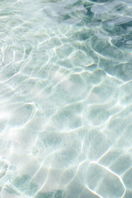 Scents That Remind Us of Summer