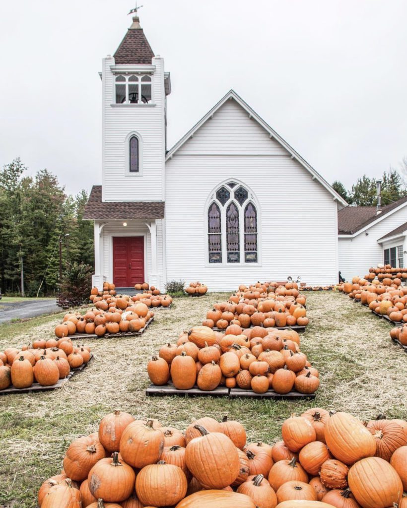 The Ultimate Fall To-Do List (No Apple Picking or Pumpkin Spice Lattes Necessary)