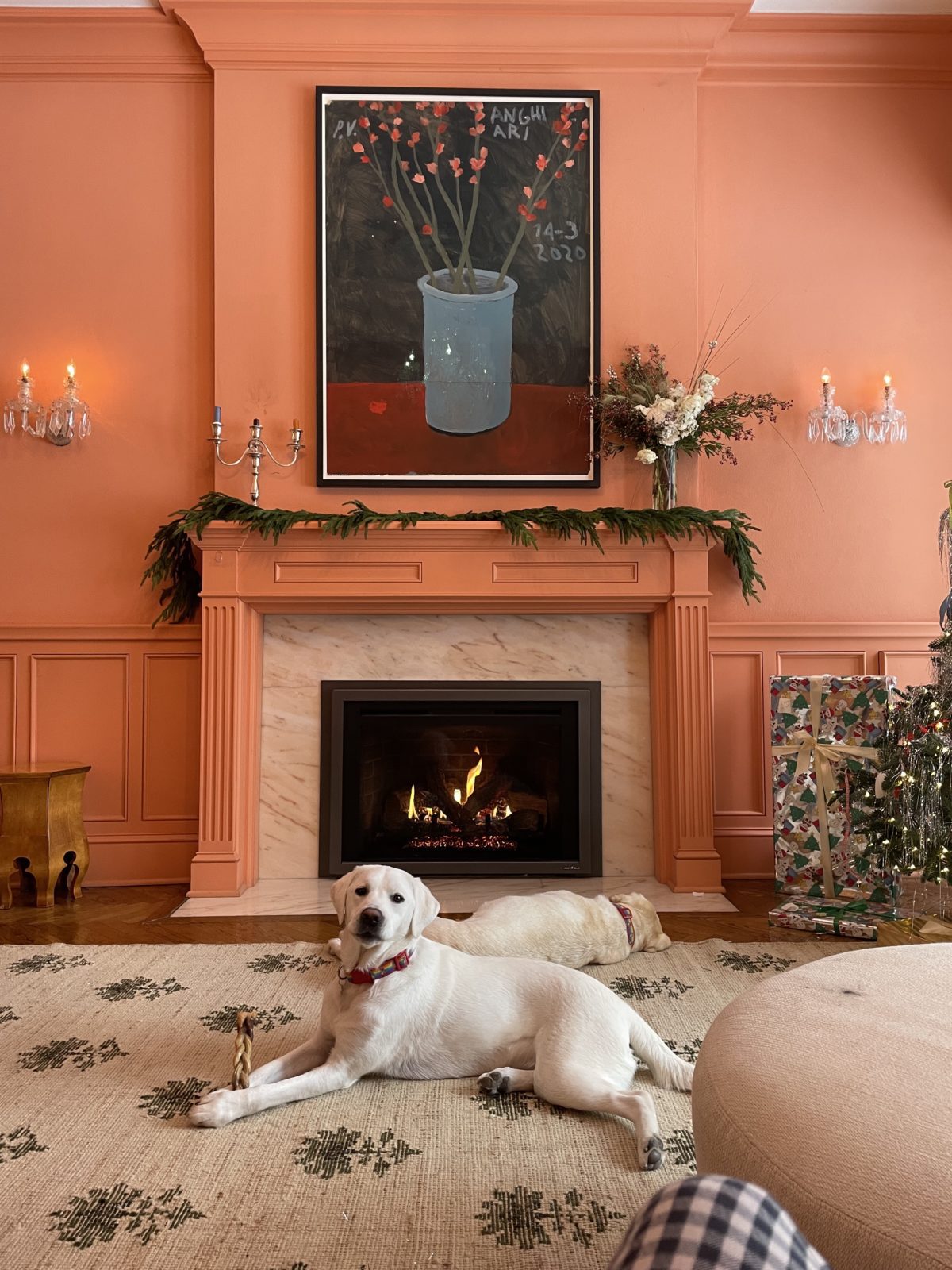 Dog looking at the viewer, while lying on a rug in front of a Heat & Glo fireplace during the holiday season. 