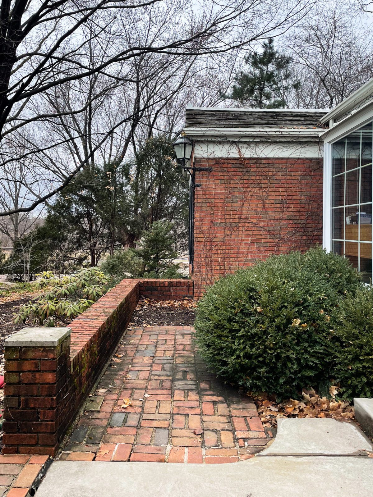 A brick patio in early spring.