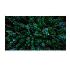 A World of Calm on HBO Max