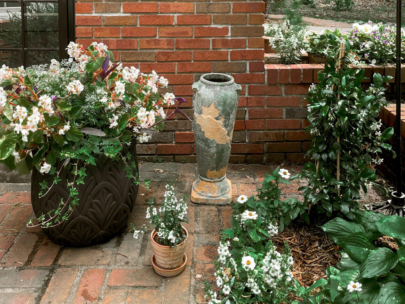 How I Created a Beautiful Container Garden in 4 Simple Steps | Wit & Delight