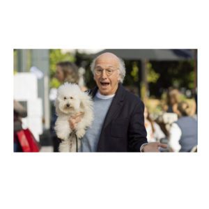 Curb Your Enthusiasm