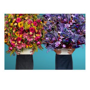 Full Bloom on HBO Max