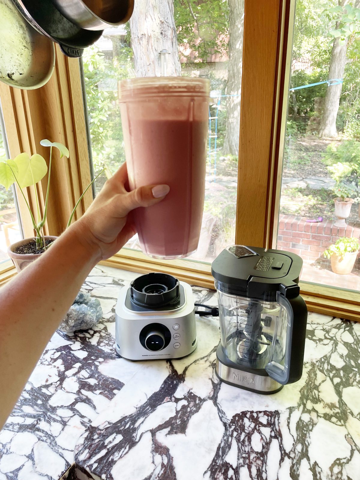 This Ninja 2-in-1 Blender and Food Processor Is Worth the Money | Wit & Delight