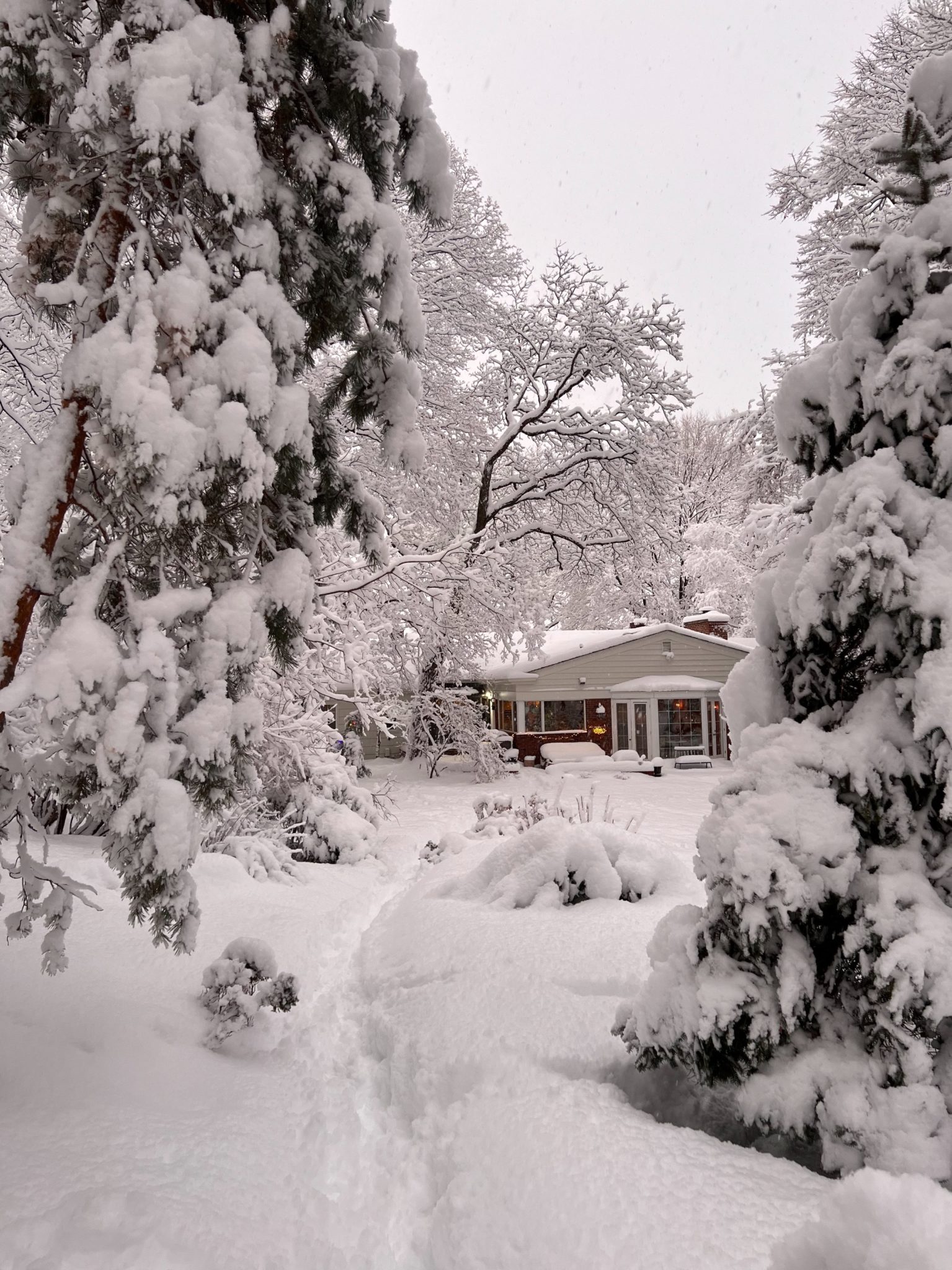 January 2023 Month in Review: Highs, Lows, and New Beginnings